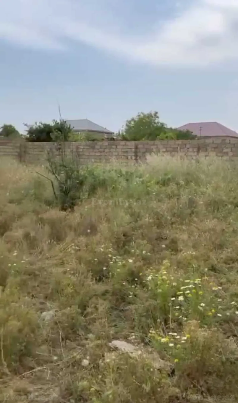 Satılır Torpaq 5 sot Saray - şəkil 2
