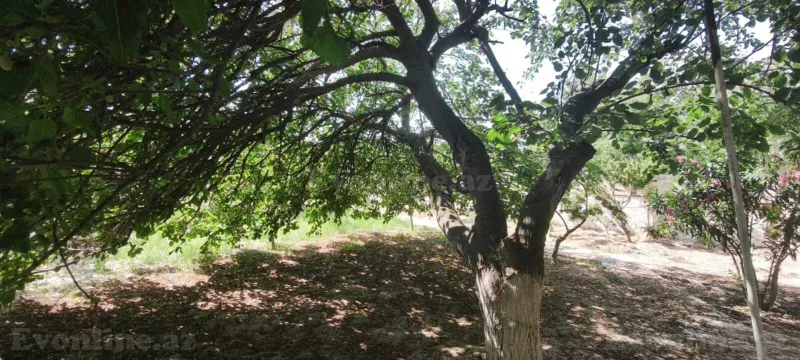 Satılır 3 otaqlı Həyət evi 190 m² Novxanı - şəkil 8
