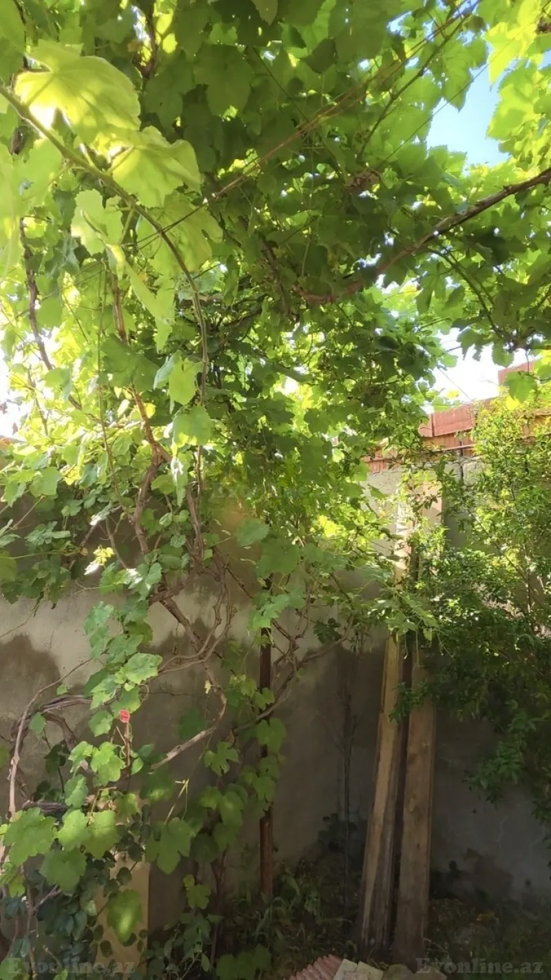 Satılır 3 otaqlı Həyət evi 70 m² Ramana - şəkil 2