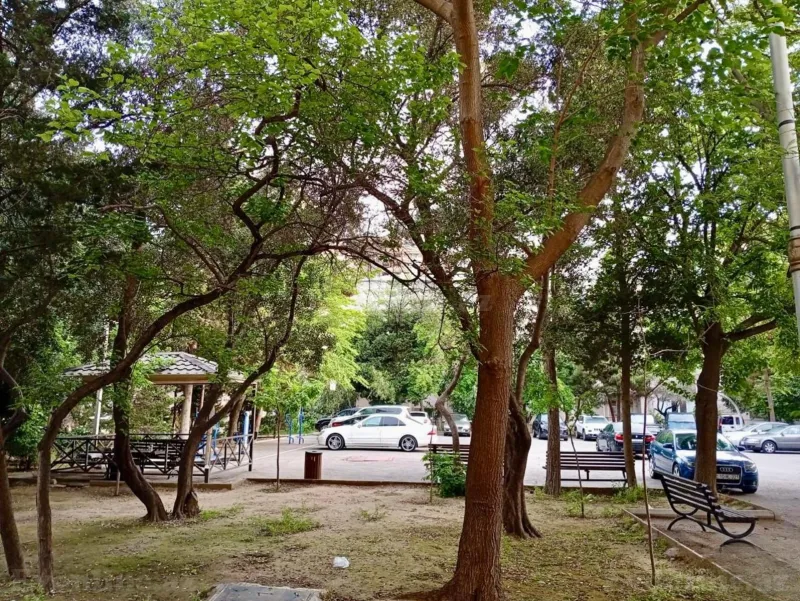 Satılır 1 otaqlı Mənzil Köhnə tikili 39 m² Xətai r. - şəkil 6
