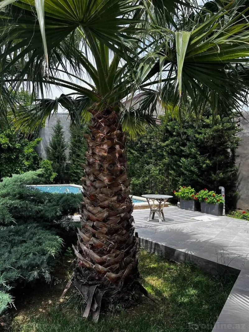 Kirayə verilir 4 otaqlı Həyət evi 210 m² Mərdəkan - şəkil 11