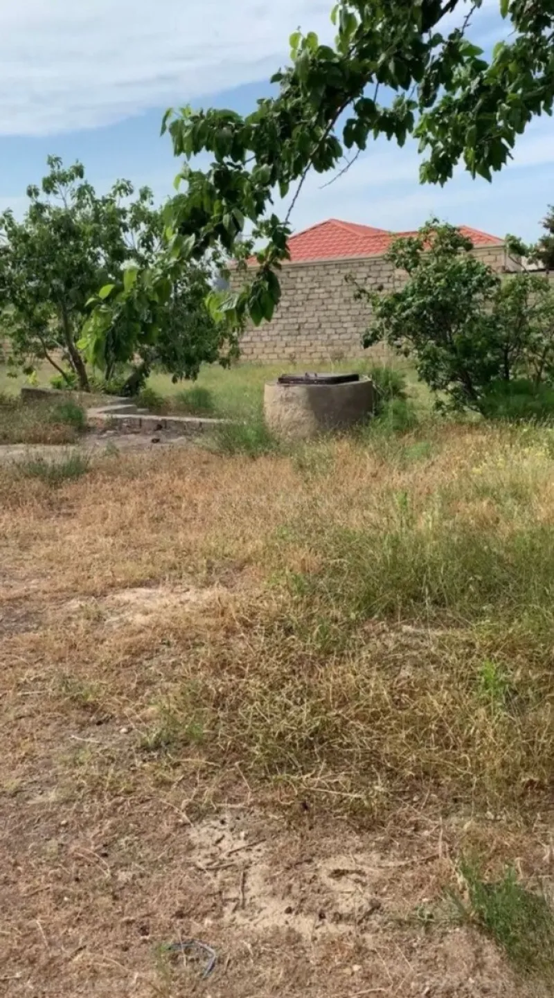 Satılır Torpaq 11 sot Pirşağı - şəkil 6