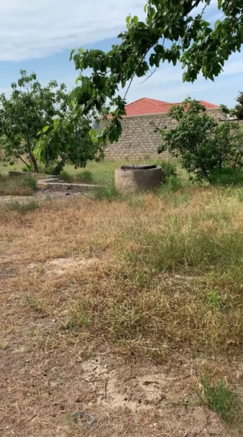 Satılır Torpaq 11 sot Pirşağı - şəkil 25