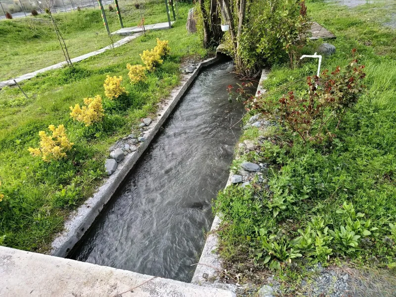 Satılır Obyekt 3200 m² Zaqatala - şəkil 6