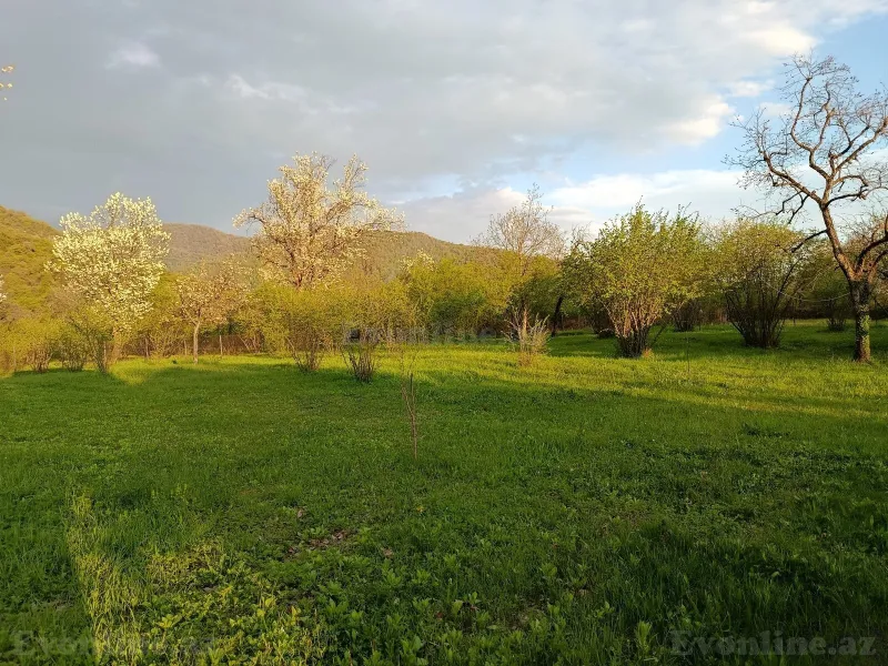 Satılır Obyekt 3200 m² Zaqatala - şəkil 10
