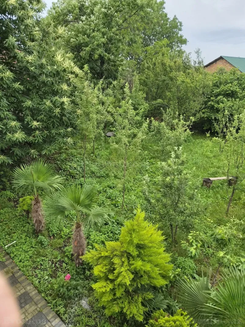 Kirayə verilir 4 otaqlı Həyət evi 200 m² Qəbələ - şəkil 7