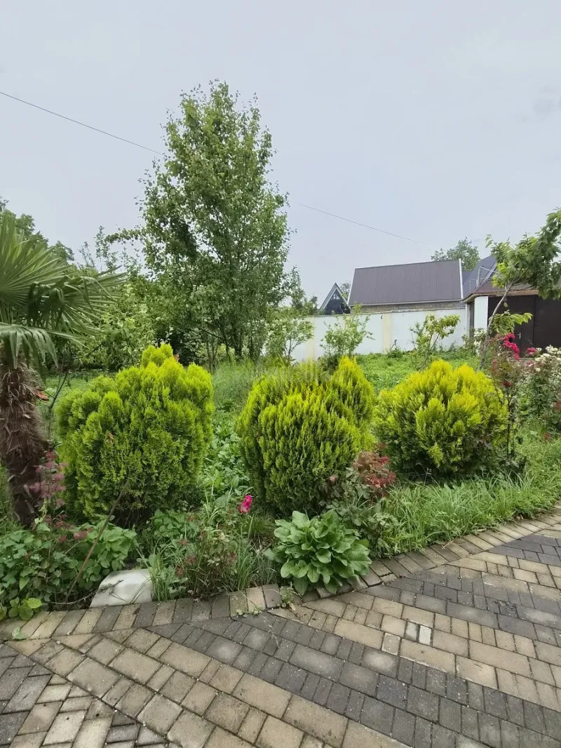 Kirayə verilir 4 otaqlı Həyət evi 200 m² Qəbələ - şəkil 14