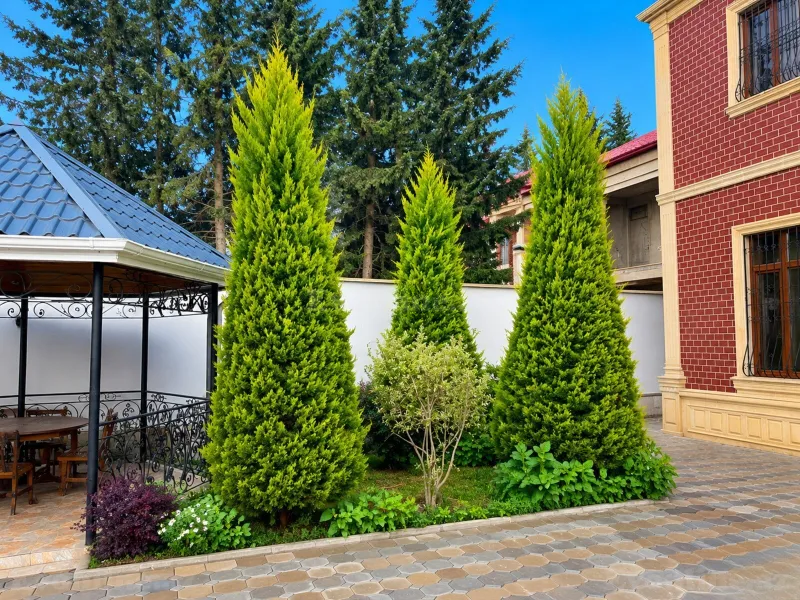 Kirayə verilir 5 otaqlı Həyət evi 330 m² Novxanı - şəkil 6