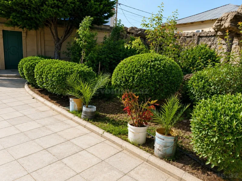 Kirayə verilir 5 otaqlı Həyət evi 250 m² Şüvəlan - şəkil 11