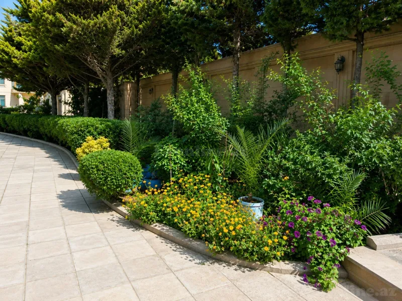 Kirayə verilir 5 otaqlı Həyət evi 250 m² Şüvəlan - şəkil 12