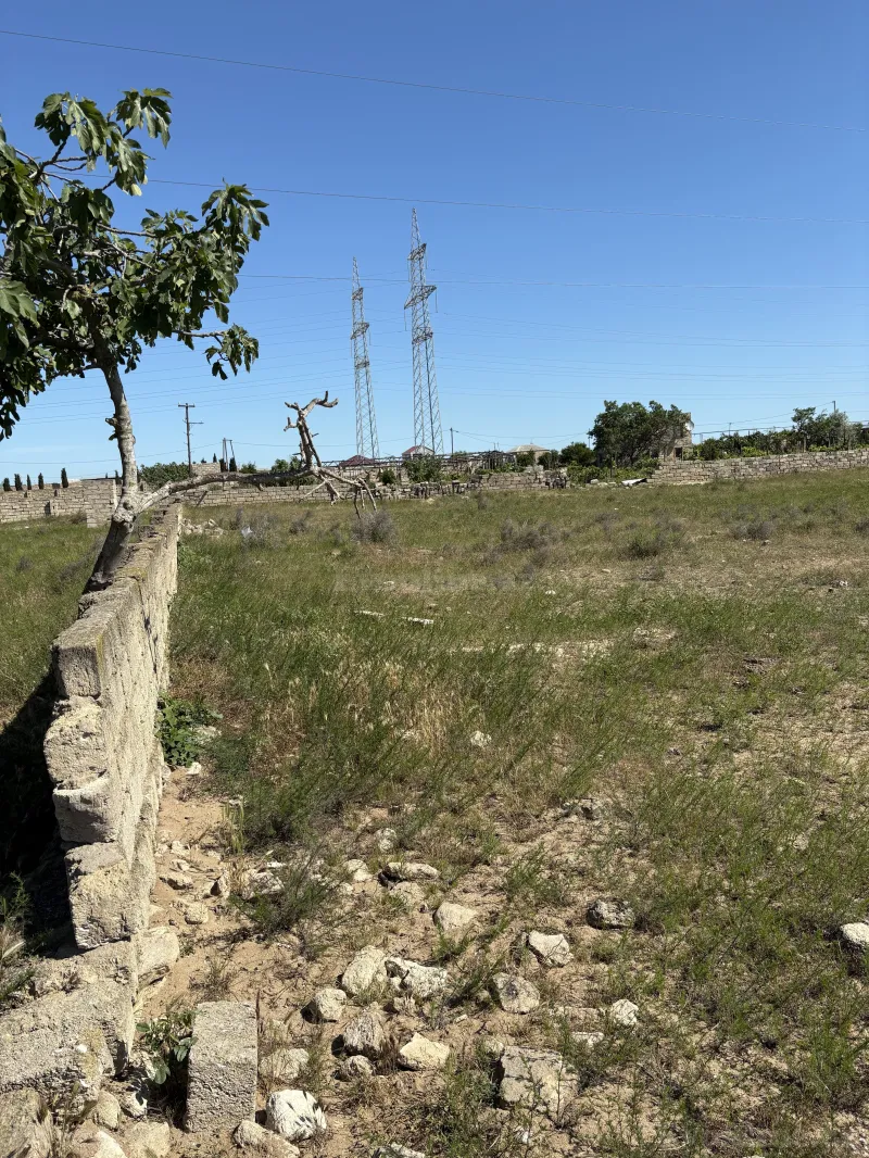 Satılır Torpaq 55 sot Qala - şəkil 3