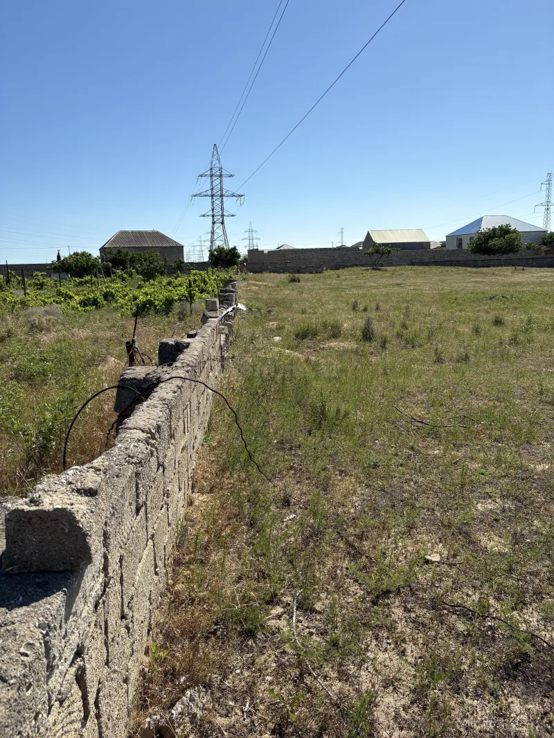 Satılır Torpaq 55 sot Qala - şəkil 4