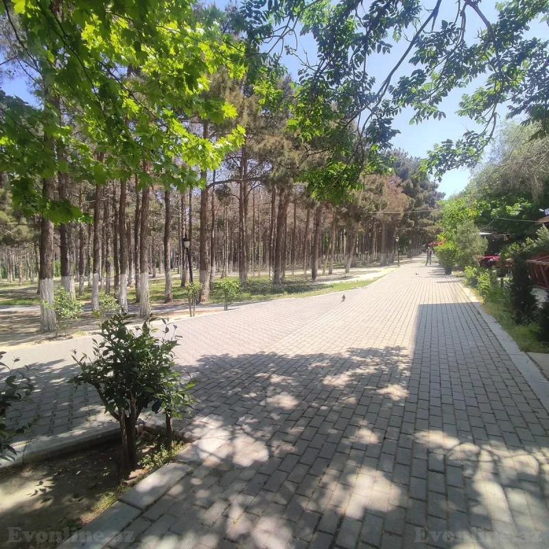Kirayə verilir Obyekt 258 m² Xırdalan - şəkil 2
