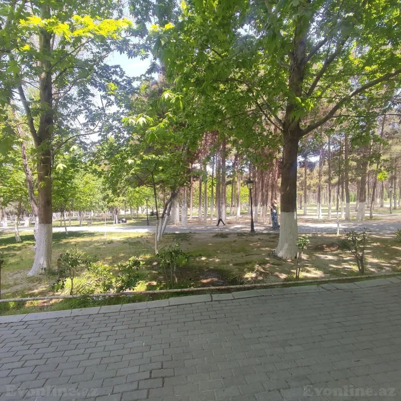 Kirayə verilir Obyekt 258 m² Xırdalan - şəkil 3