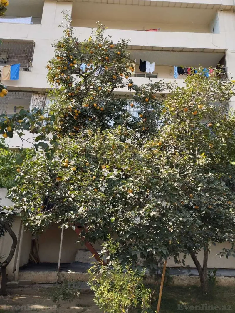 Kirayə verilir 4 otaqlı Mənzil Köhnə tikili 120 m² İnşaatçılar m. - şəkil 17