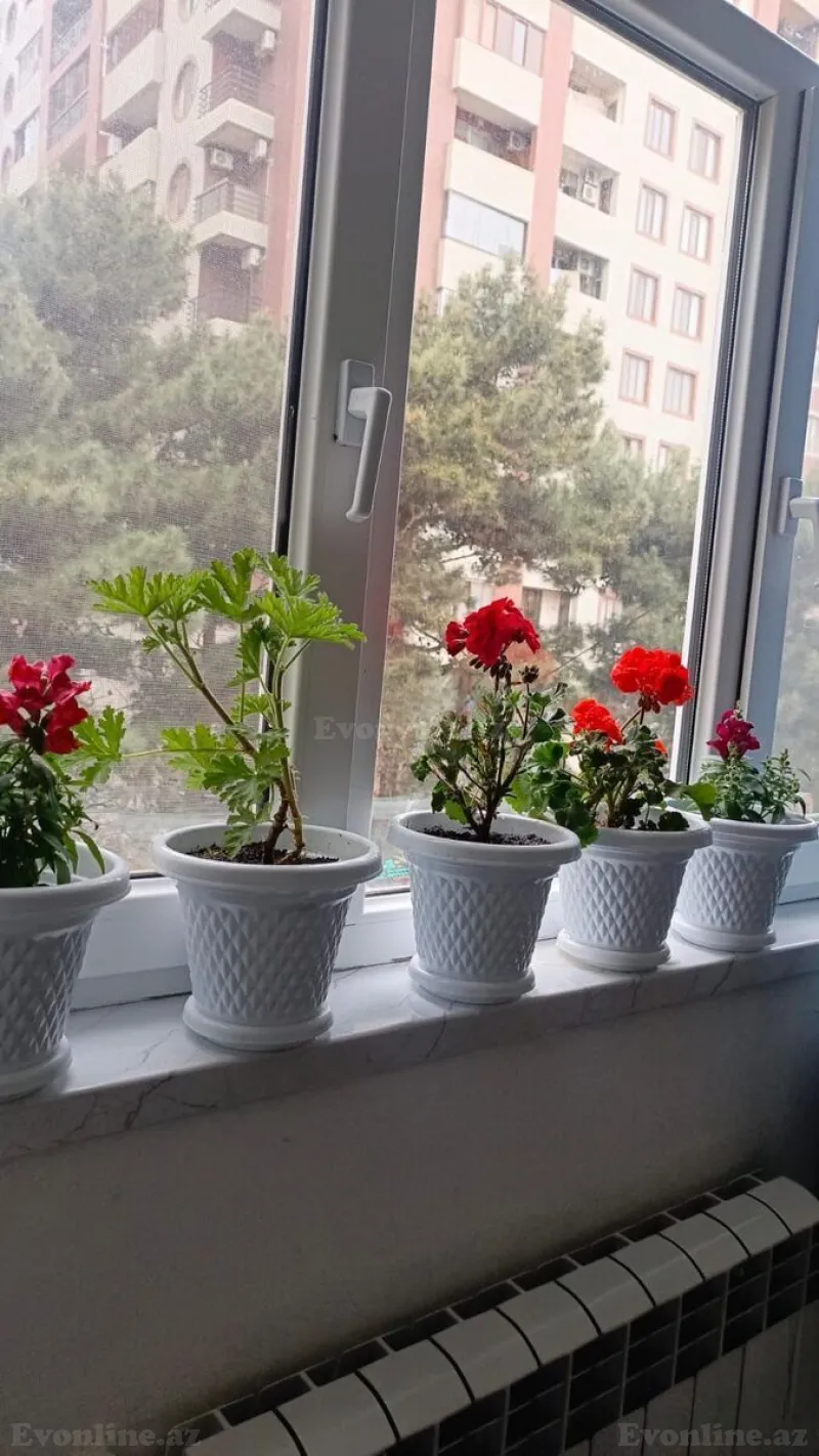 Satılır 2 otaqlı Mənzil Köhnə tikili 55 m² Nəriman Nərimanov m. - şəkil 11