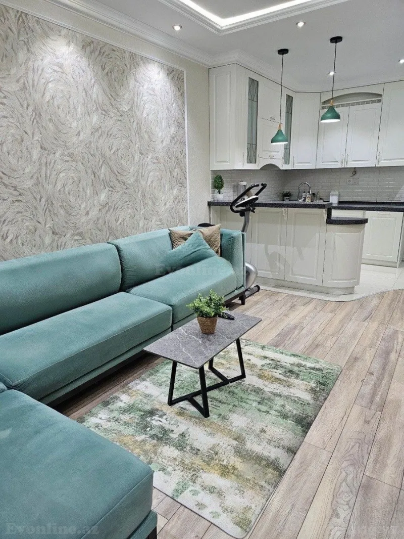 Kirayə verilir 2 otaqlı Mənzil Köhnə tikili 50 m² Sahil m. - şəkil 12