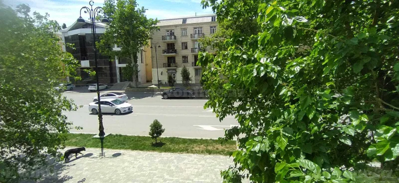 Kirayə verilir 1 otaqlı Mənzil Köhnə tikili 35 m² Gəncə