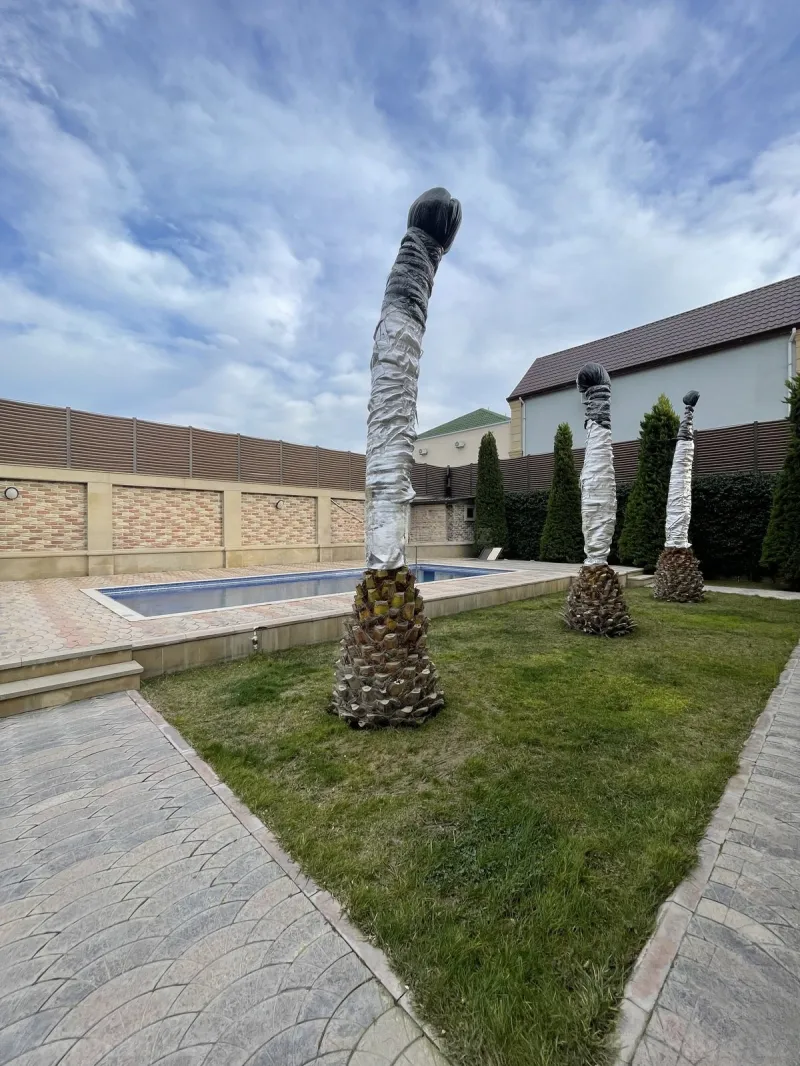 Satılır 8 otaqlı Həyət evi 300 m² Sea Breeze - şəkil 26