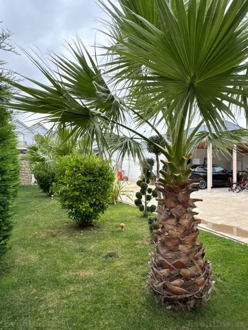 Satılır 8 otaqlı Həyət evi 515 m² Mərdəkan - şəkil 27