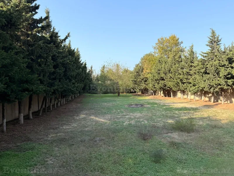 Torpaq Bilgəh Satılır