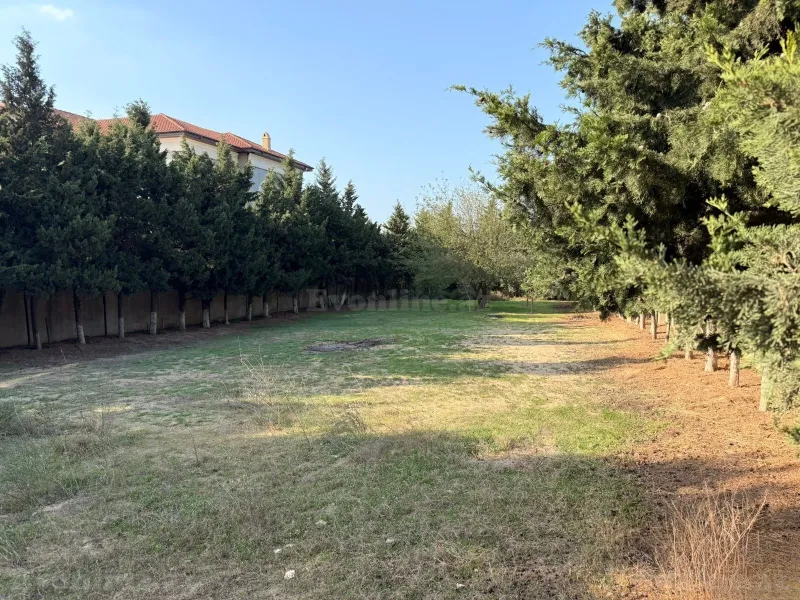 Satılır Torpaq 18 sot Bilgəh - şəkil 2