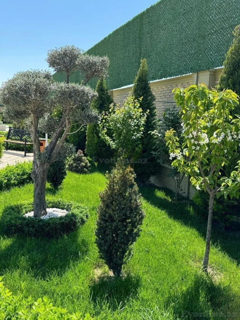 Kirayə verilir 5 otaqlı Həyət evi 250 m² Buzovna - şəkil 8