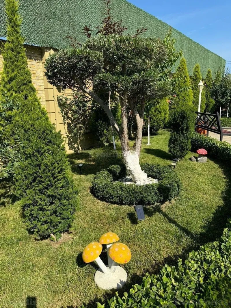 Kirayə verilir 5 otaqlı Həyət evi 250 m² Buzovna - şəkil 17