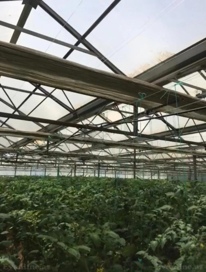 Satılır Obyekt 3000 m² Türkan - şəkil 3