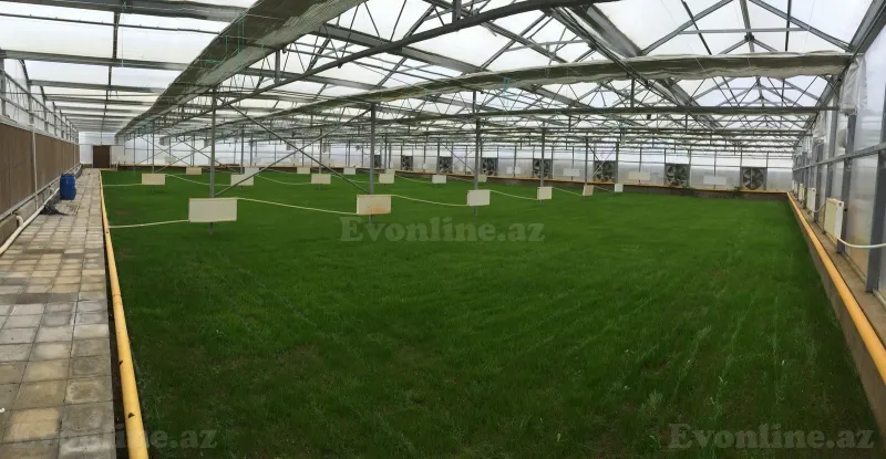 Satılır Obyekt 3000 m² Türkan - şəkil 24