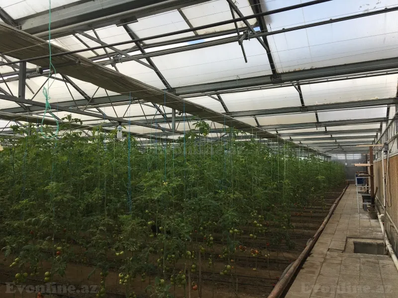 Satılır Obyekt 3000 m² Türkan - şəkil 30