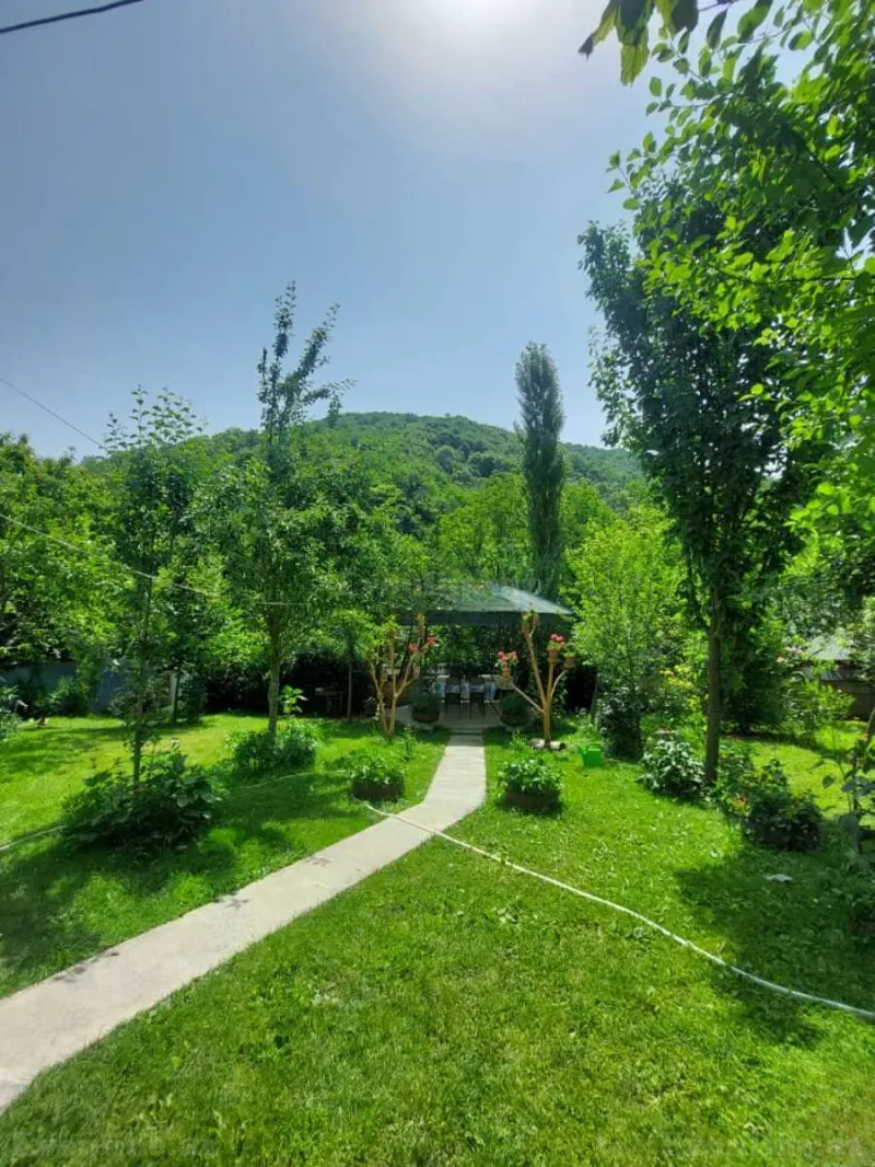 Kirayə verilir 2 otaqlı Həyət evi 50 m² Qəbələ - şəkil 5