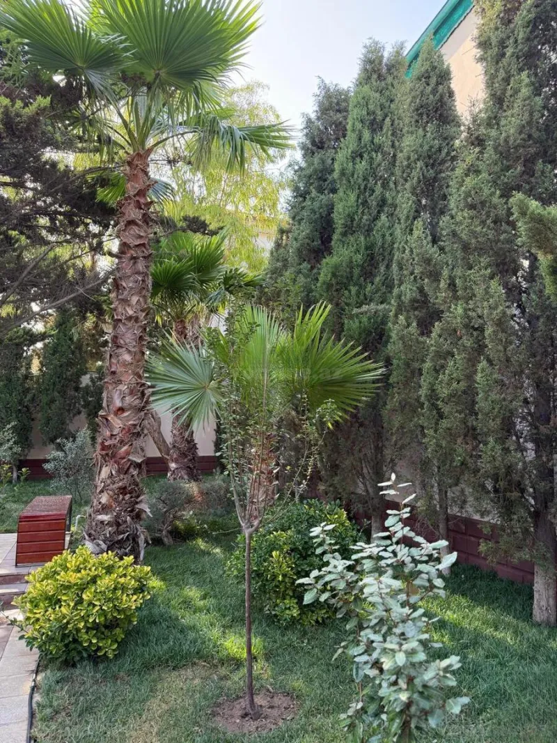 Kirayə verilir 6 otaqlı Həyət evi 408 m² Mərdəkan - şəkil 5