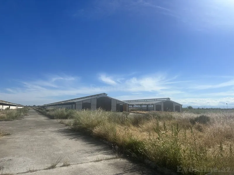 Satılır Obyekt 15592 m² Ağcabədi