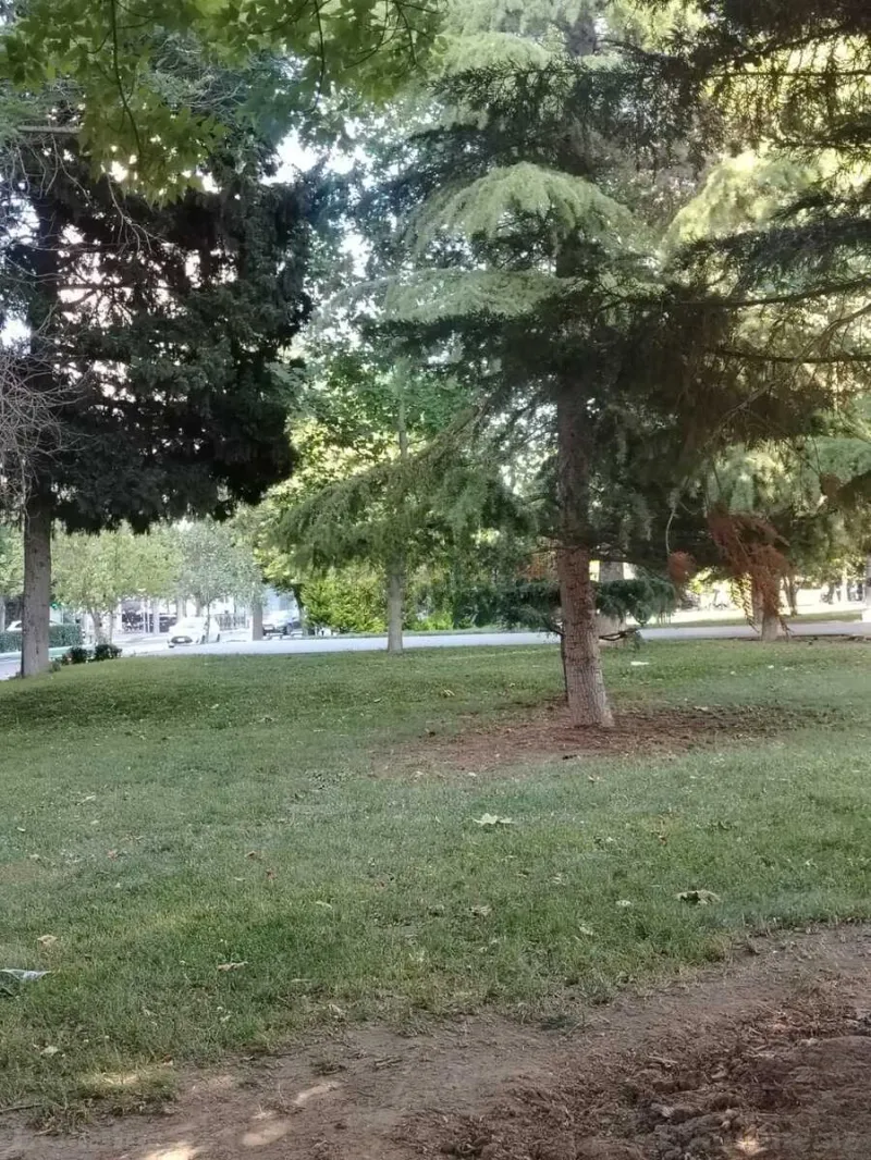 Kirayə verilir 3 otaqlı Mənzil Yeni tikili 148 m² Nəsimi r. - şəkil 3
