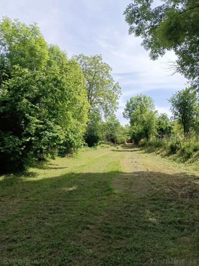 Kirayə verilir 4 otaqlı Həyət evi 140 m² Qəbələ - şəkil 2