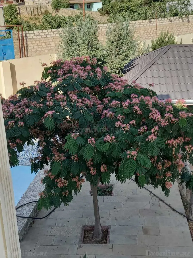 Satılır 4 otaqlı Həyət evi 142 m² Albalılıq - şəkil 16