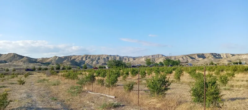 Satılır Torpaq 200 sot Göyçay - şəkil 2