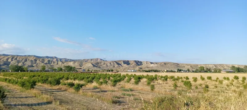Satılır Torpaq 200 sot Göyçay - şəkil 5