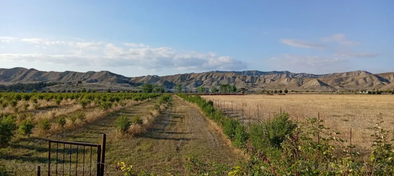 Satılır Torpaq 200 sot Göyçay - şəkil 7