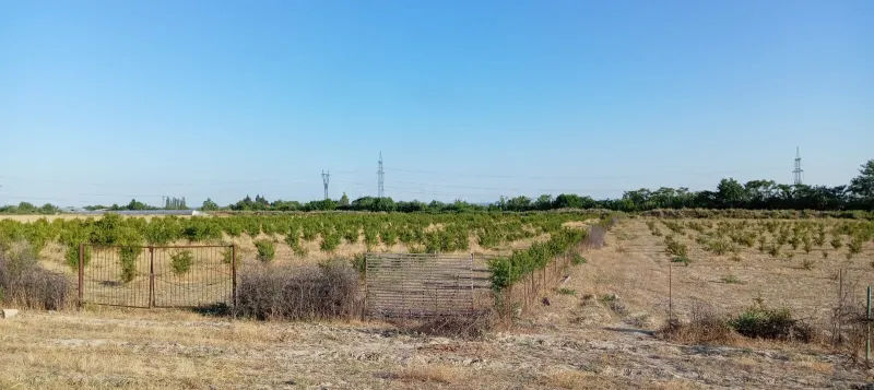Satılır Torpaq 200 sot Göyçay - şəkil 9