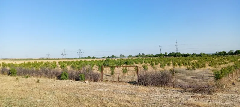 Satılır Torpaq 200 sot Göyçay - şəkil 10