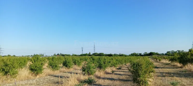Satılır Torpaq 200 sot Göyçay - şəkil 11