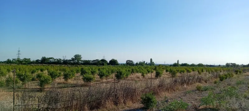 Satılır Torpaq 200 sot Göyçay - şəkil 13