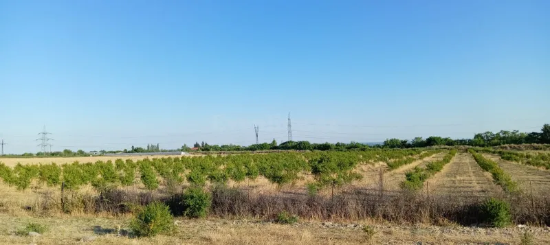 Satılır Torpaq 200 sot Göyçay - şəkil 15