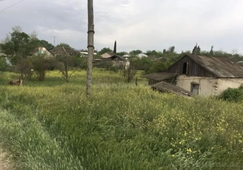 Tovuzda torpaq satılır