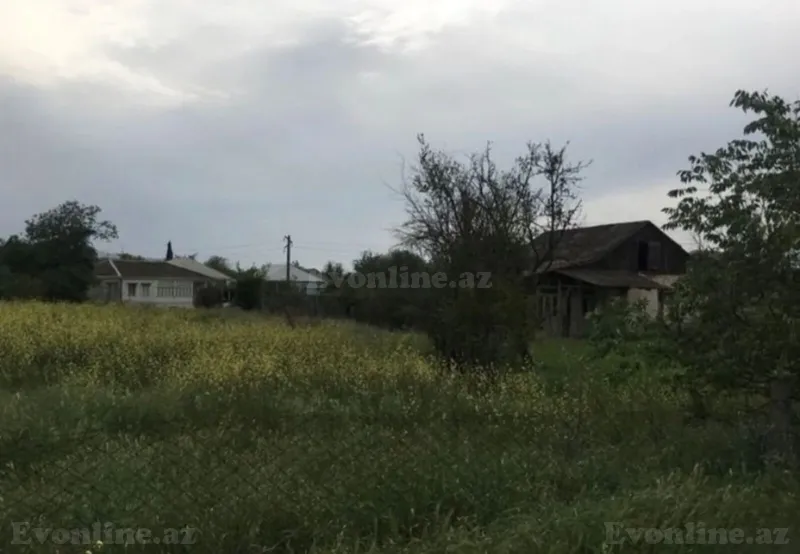 Satılır Torpaq 14 sot Tovuz - şəkil 3