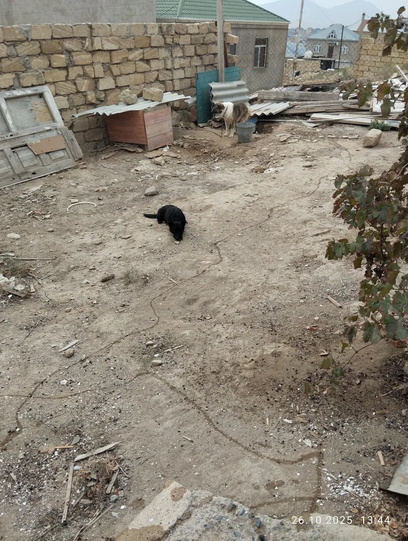 Satılır 4 otaqlı Həyət evi 110 m² Lökbatan - şəkil 9