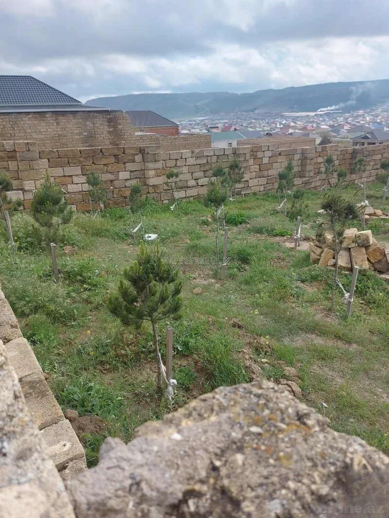 Satılır Torpaq 4 sot Qobu - şəkil 4