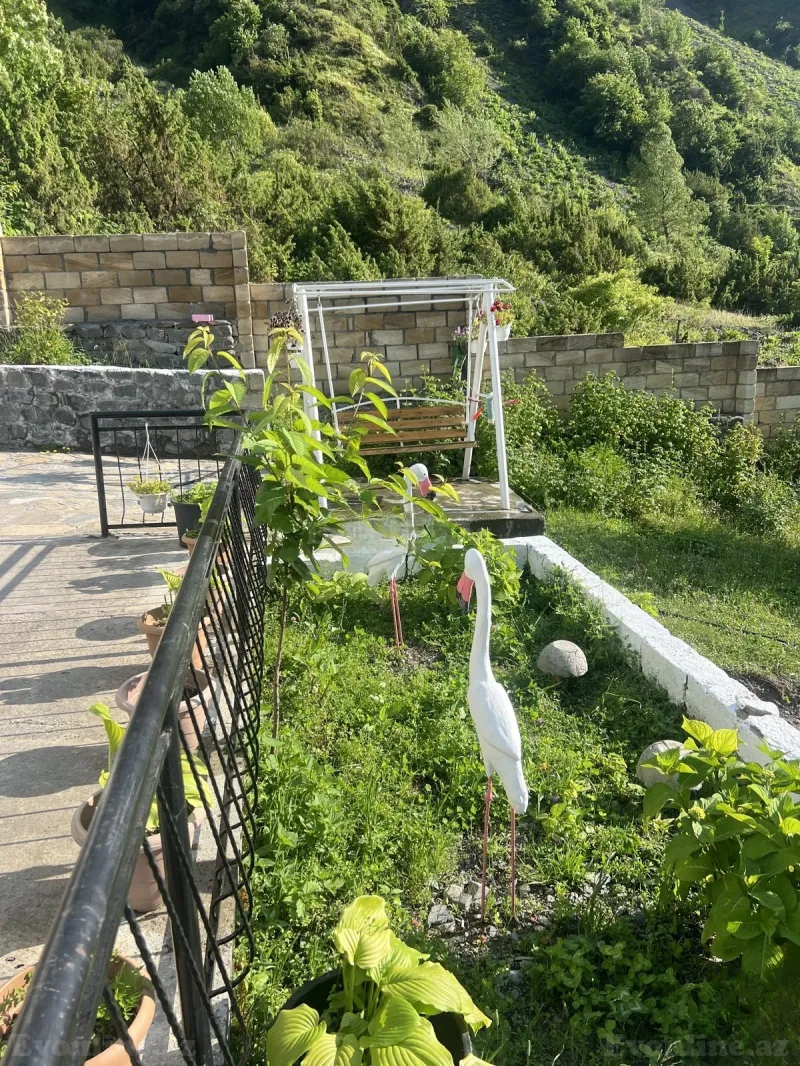 Kirayə verilir 3 otaqlı Həyət evi 100 m² Qax - şəkil 9